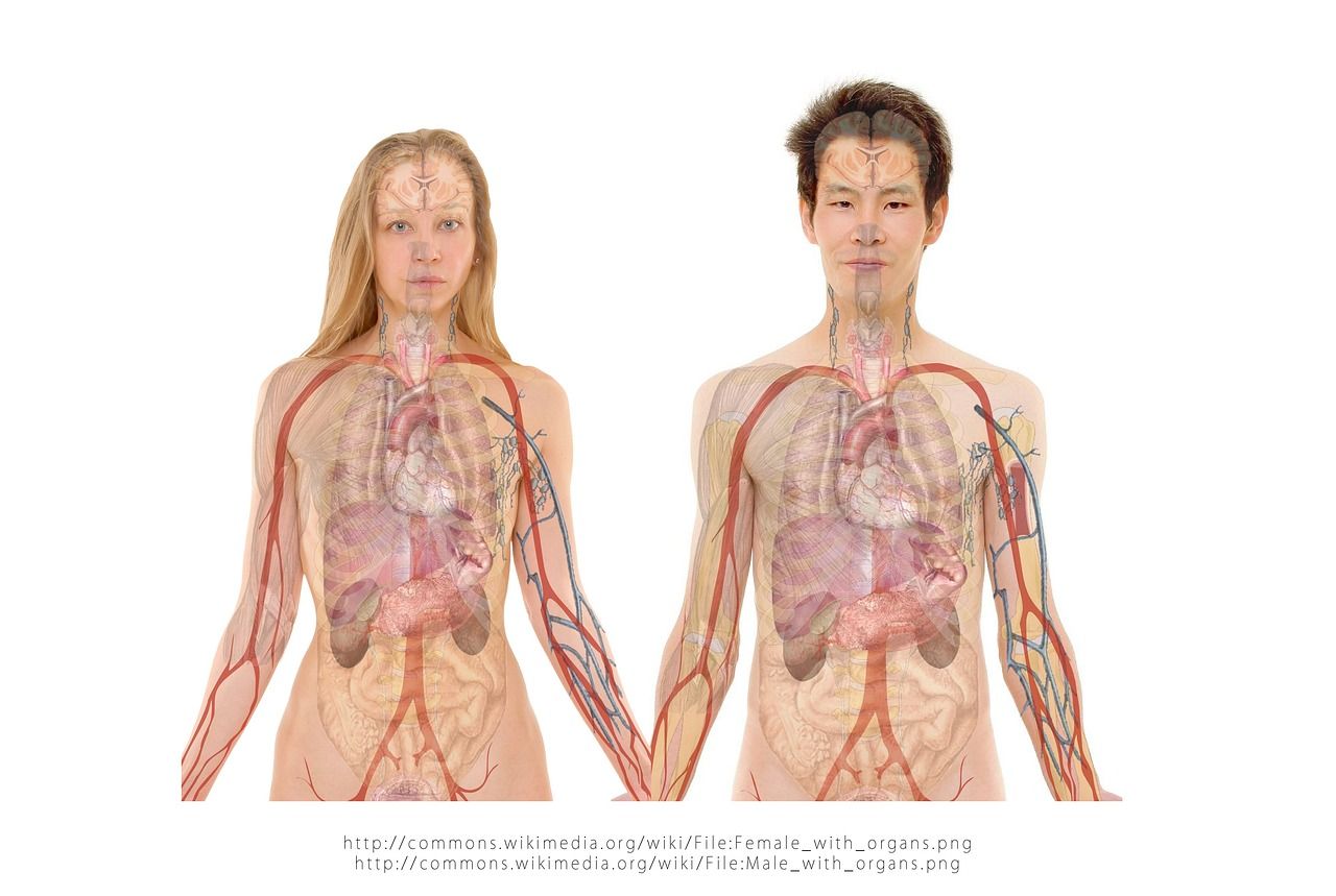 Nephrology